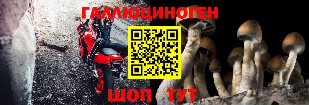 Архангельск  Галлюциногенные грибы мицелий  Вход с VPN 